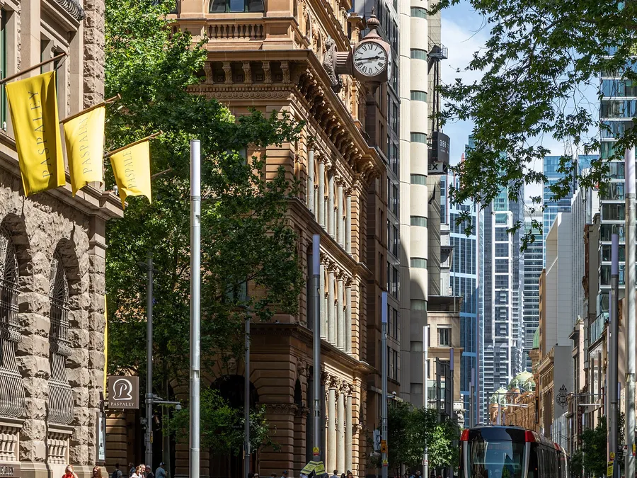 things to do in sydney — up close
