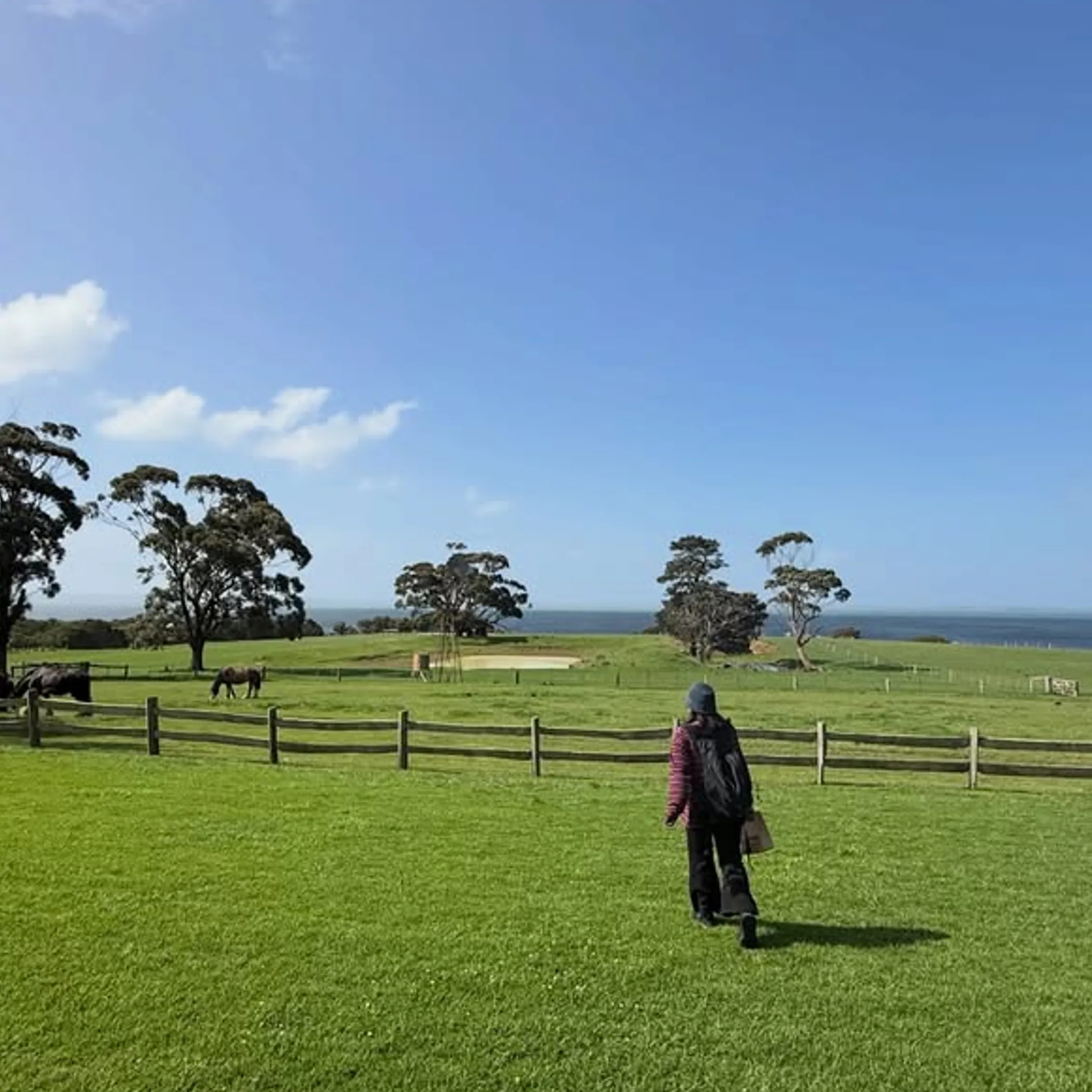 scenic coastal australian setting