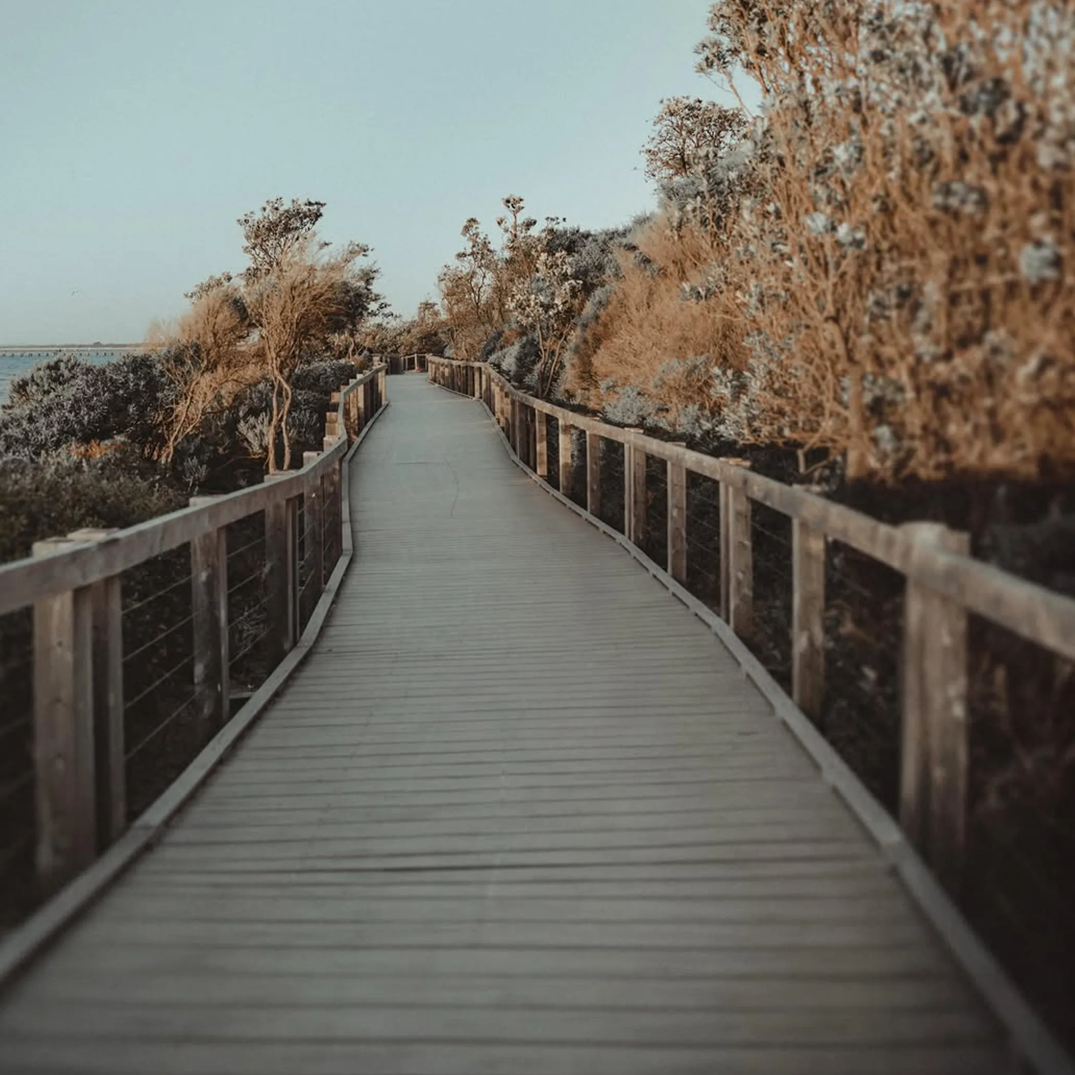 scenic outdoor walking path